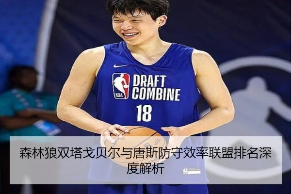森林狼双塔戈贝尔与唐斯防守效率联盟排名深度解析